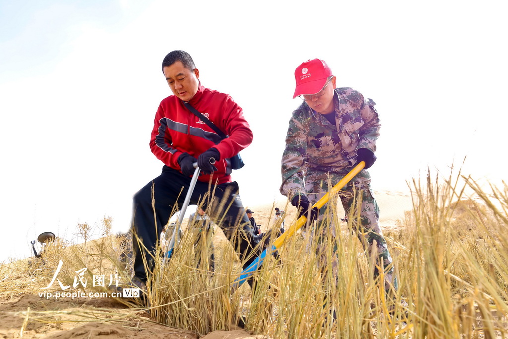 甘肅張掖:“三北”工程沙漠邊緣阻擊戰全面打響【2】