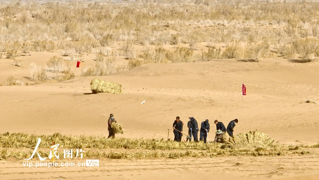 甘肅張掖:“三北”工程沙漠邊緣阻擊戰全面打響【3】