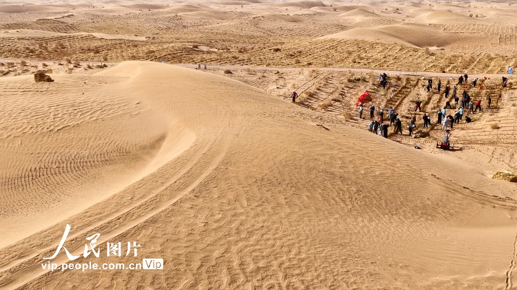 甘肅張掖:“三北”工程沙漠邊緣阻擊戰全面打響【6】