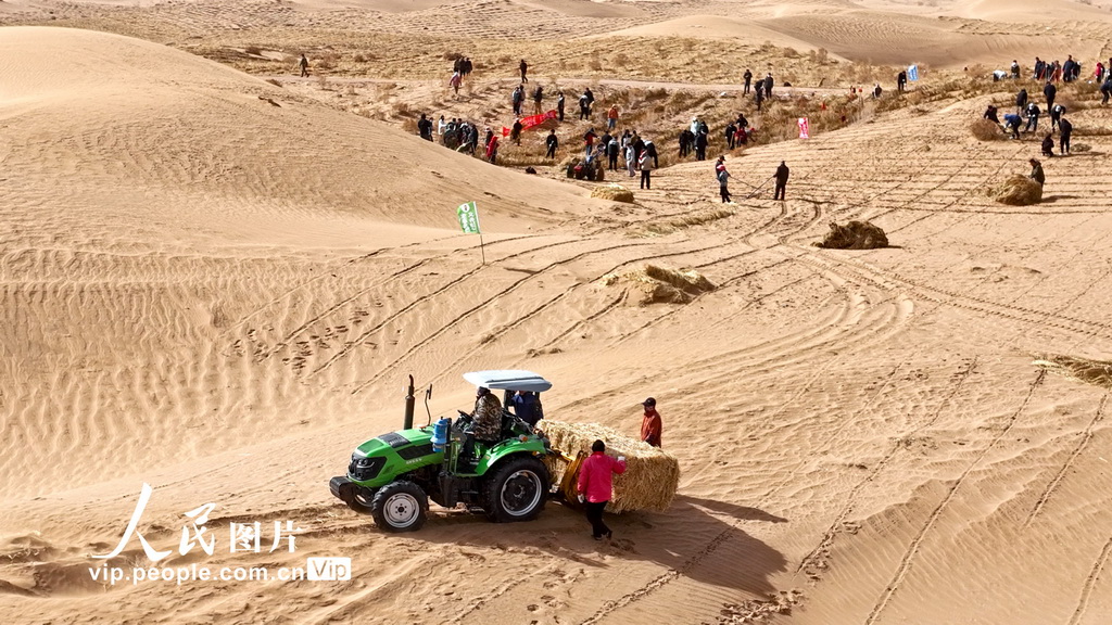 甘肅張掖:“三北”工程沙漠邊緣阻擊戰全面打響【7】