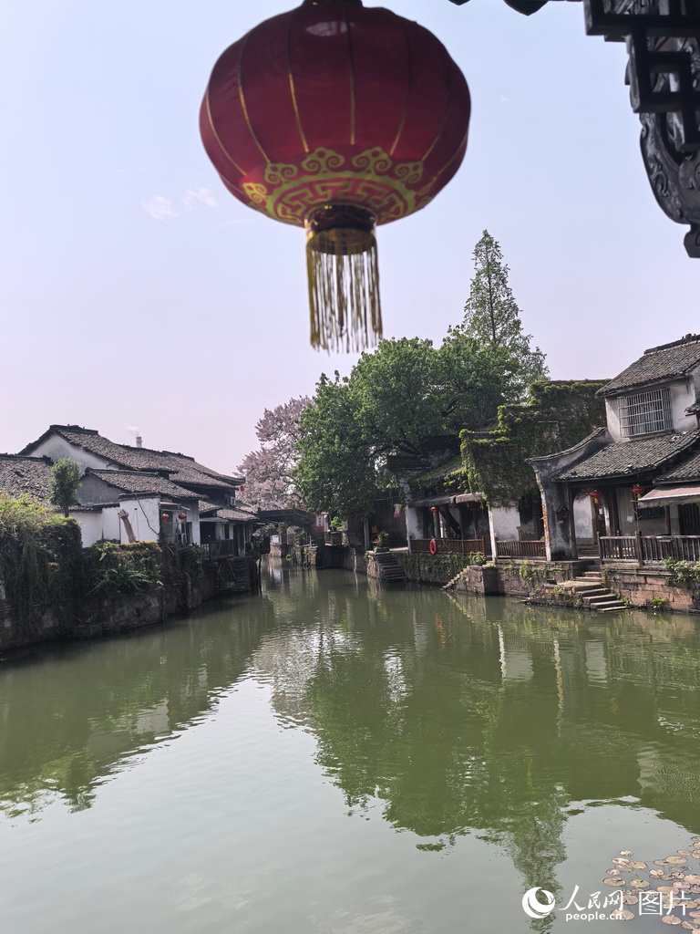 新市千年古鎮迎來春季旅游熱潮 水鄉風情引客來【10】