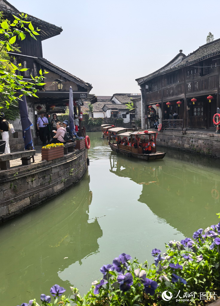 新市千年古鎮迎來春季旅游熱潮 水鄉風情引客來【12】