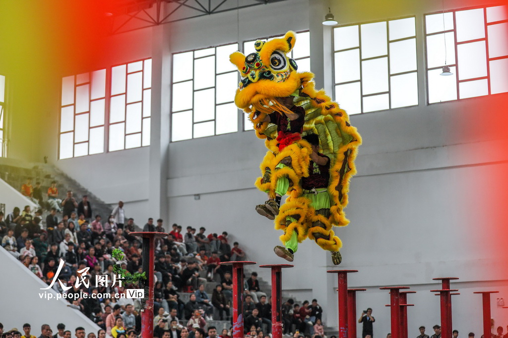 廣西賀州:獅王爭霸賽精彩紛呈【3】