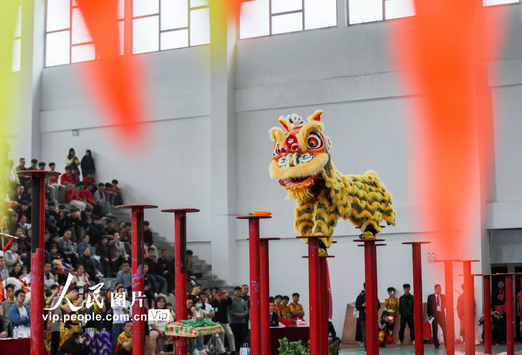 廣西賀州:獅王爭霸賽精彩紛呈【4】