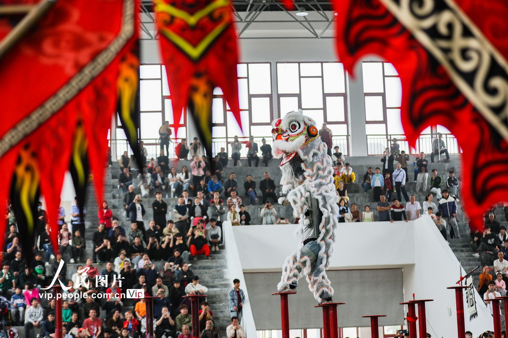 廣西賀州:獅王爭霸賽精彩紛呈【2】