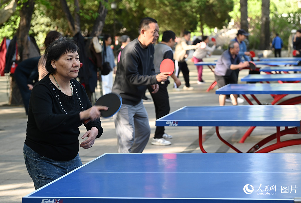4月13日早上8點，群眾在河南省鄭州市人民公園打乒乓球。人民網記者 王玉興攝