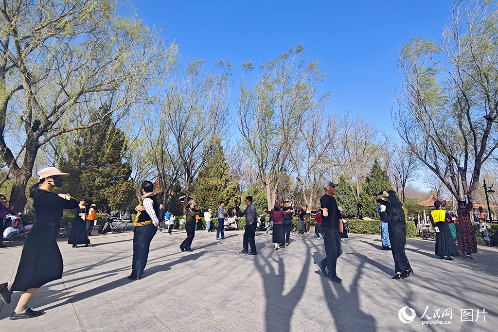 4月13日，在寧夏銀川市海寶公園里，市民正在跳舞鍛煉身體。人民網記者 閻夢婕攝