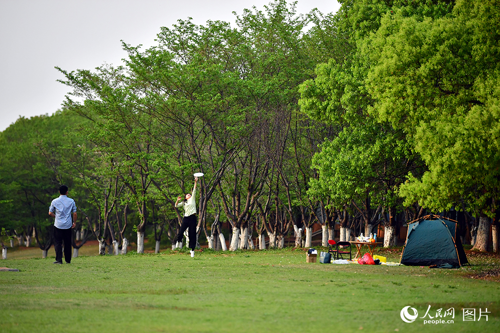 4月8日傍晚，市民在江西省南昌市江灘公園的草地上玩飛盤，在奔跑跳躍中鍛煉身體。人民網記者 時雨攝