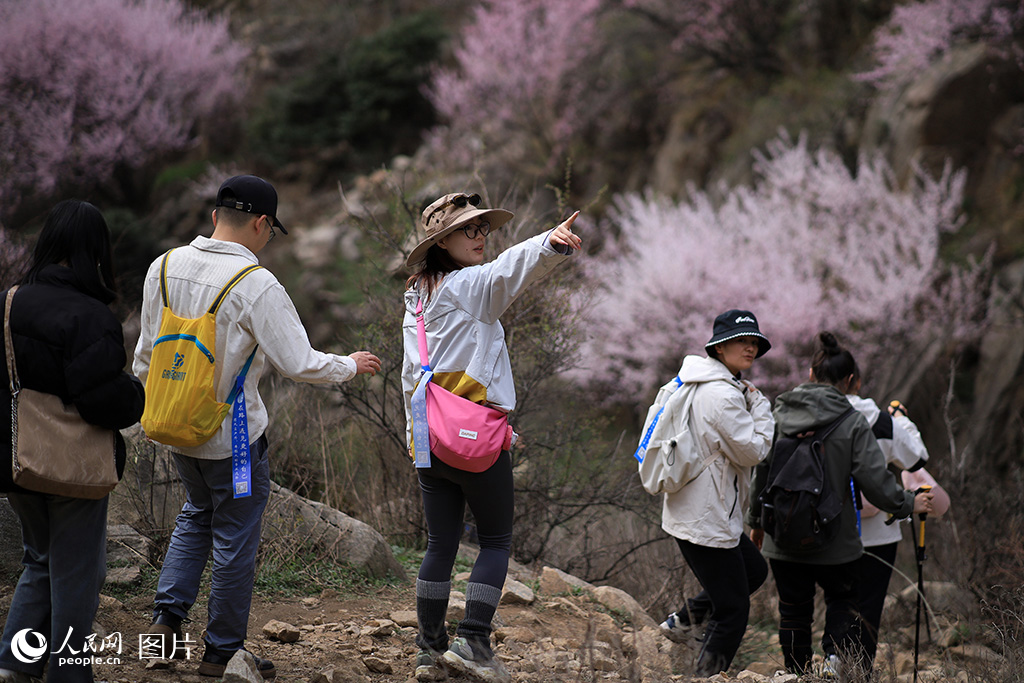 4月6日，陜西省西安市三鳳山，運動愛好者在徒步過程中欣賞春日美景。人民網記者 魏鑫攝