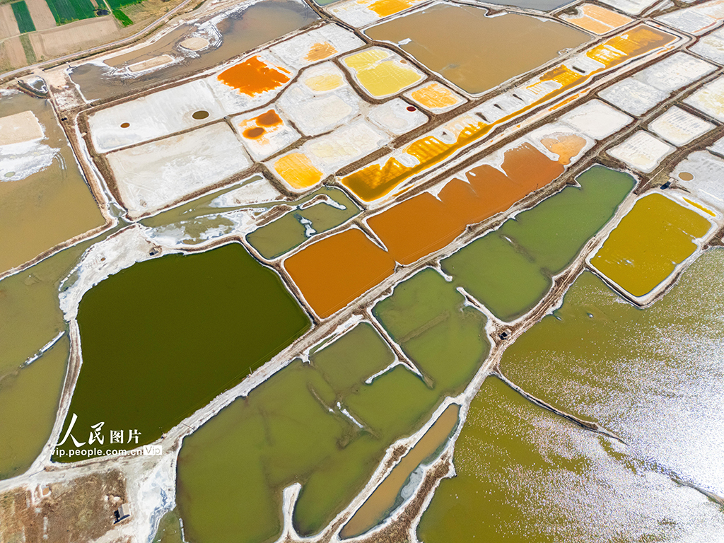 山西運城:春季鹽湖色斑斕【5】