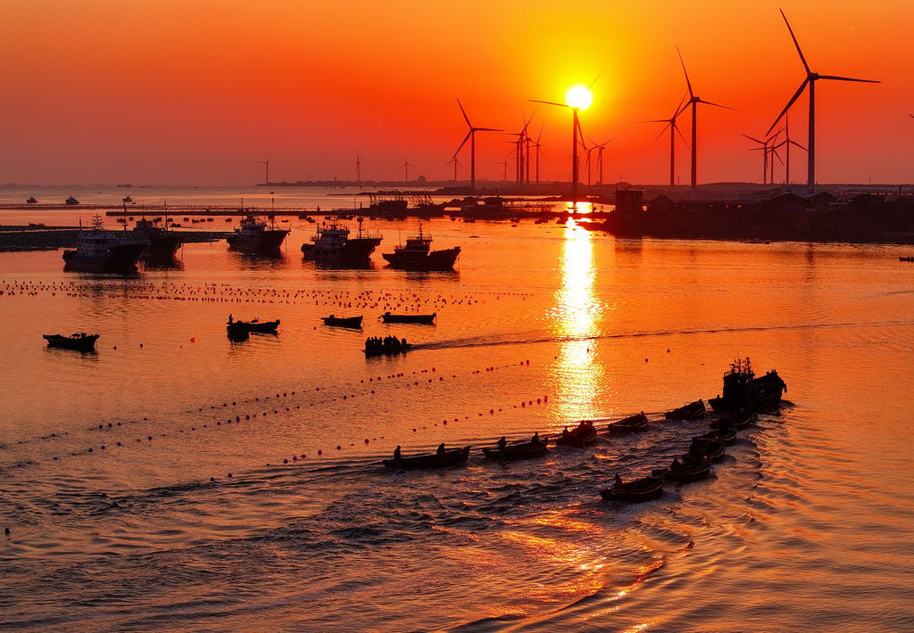 4月15日，在山東省榮成市石島管理區桑溝灣海域，漁民駕船出海作業（無人機照片）。新華社發（李信君 攝）