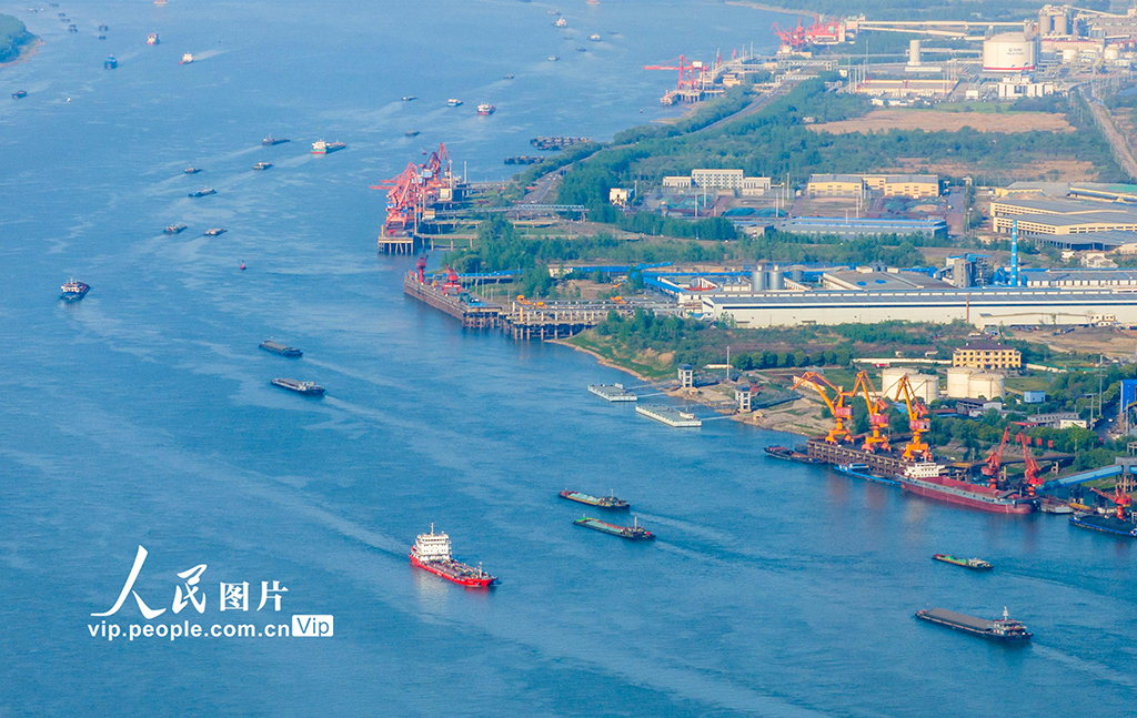 安徽蕪湖:長江航運賦能經濟高質量發展【5】