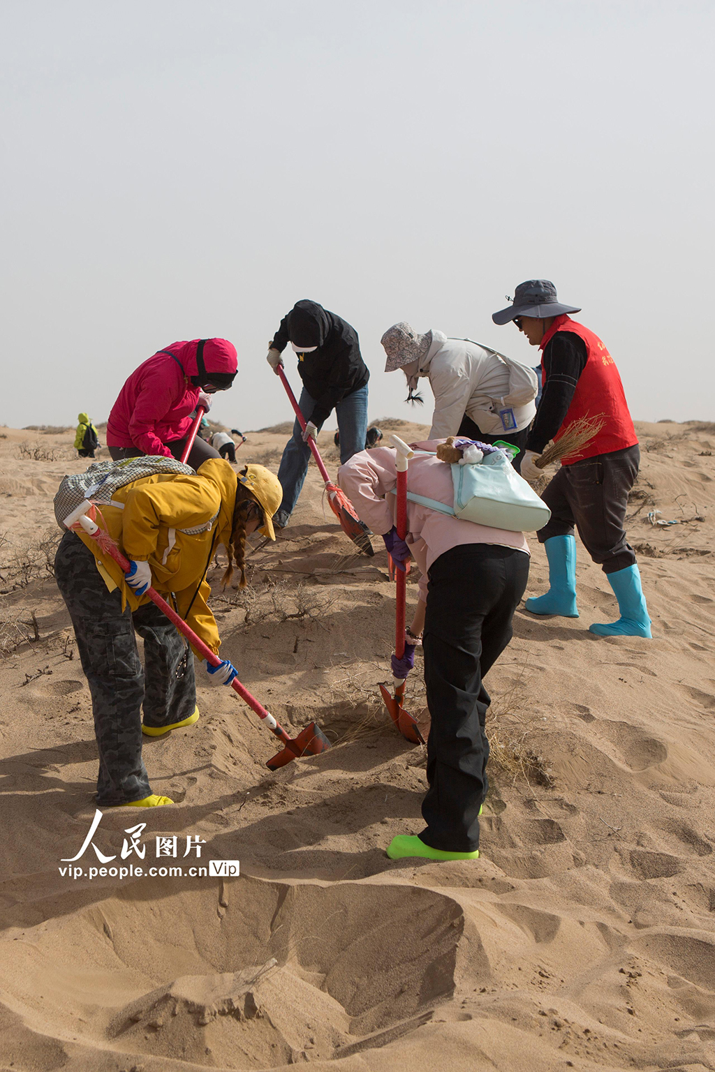 甘肅民勤:“請到民勤種棵樹”公益治沙活動如火如荼【3】