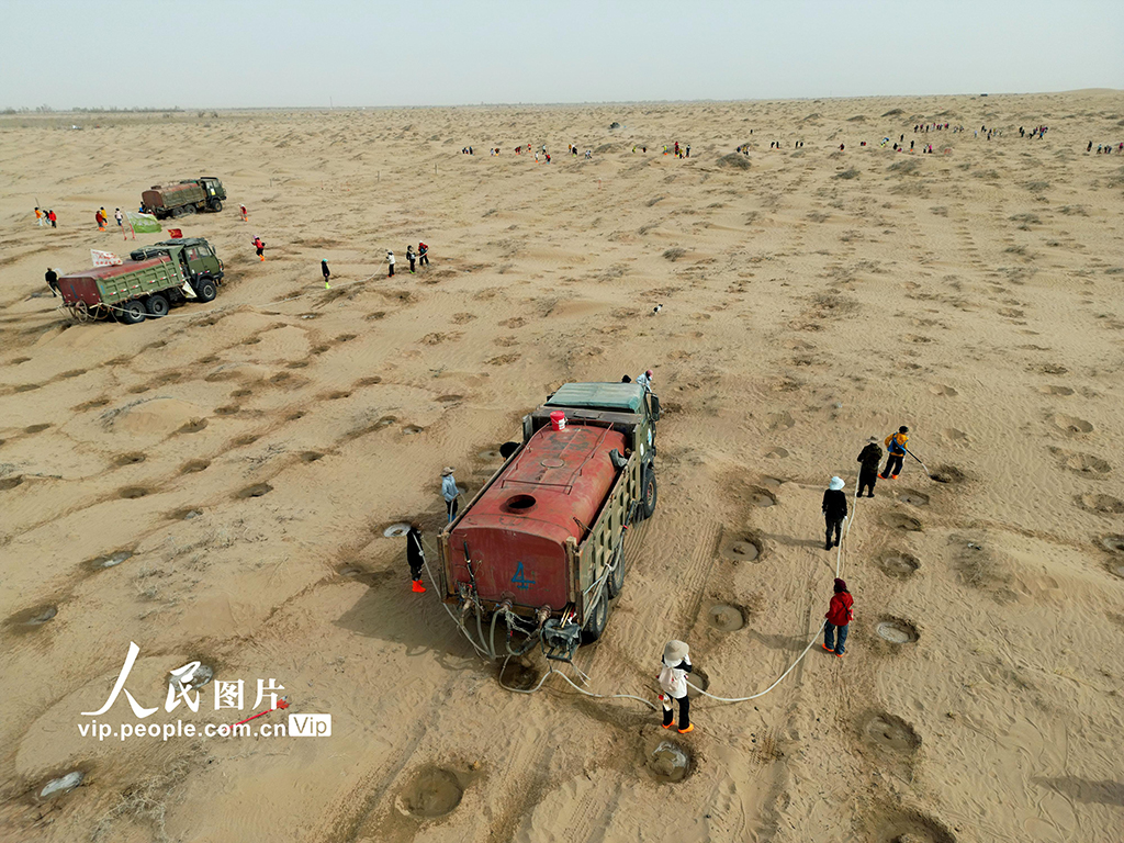 甘肅民勤:“請到民勤種棵樹”公益治沙活動如火如荼【5】