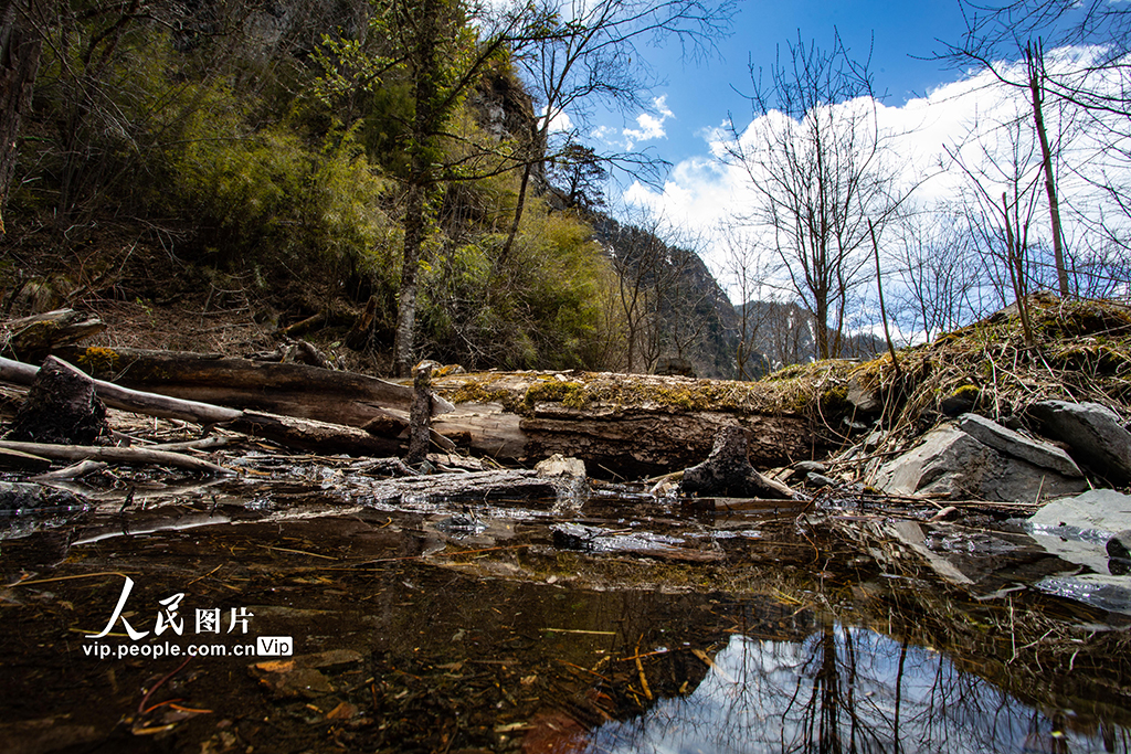 四川阿壩:畢棚溝 景色宜人【3】