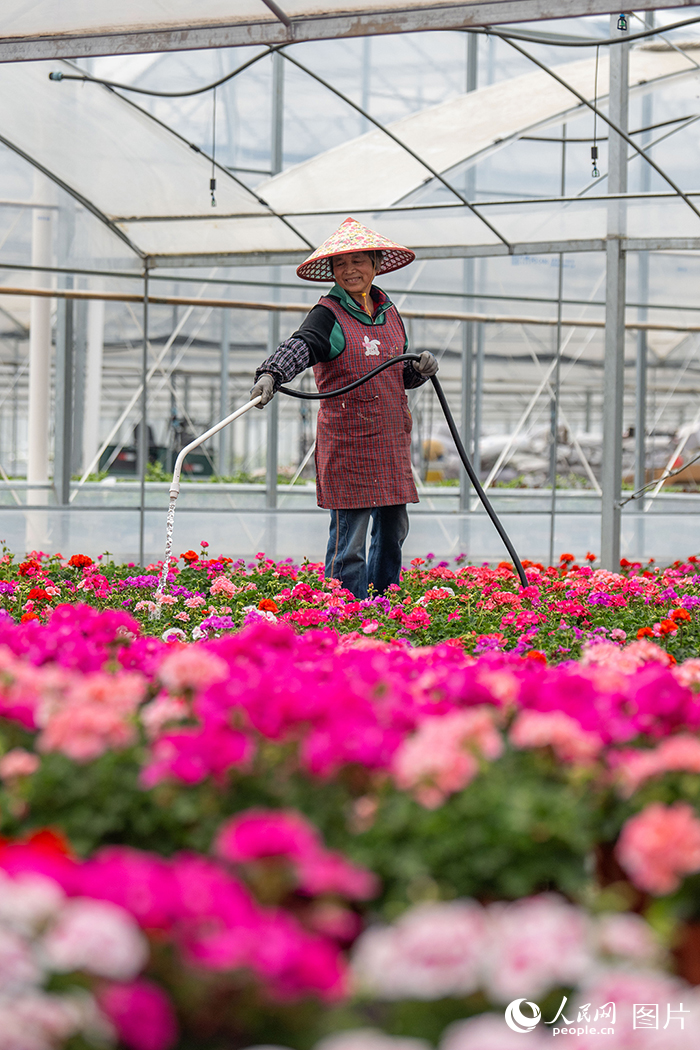 浙江嘉善:家門口就業助農增收【2】