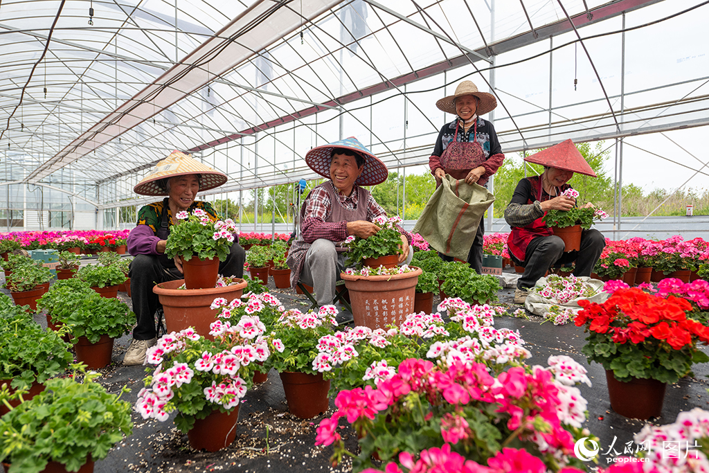 浙江嘉善:家門口就業助農增收【4】