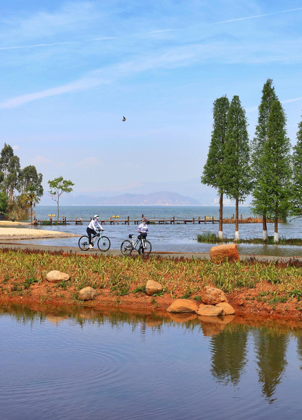 游客在牛戀村騎行。蔣雨師攝
