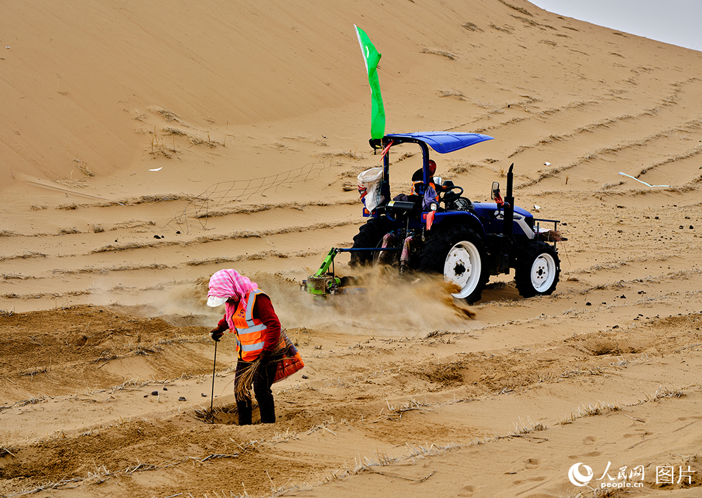 筑牢生態屏障 書寫大漠新篇【2】