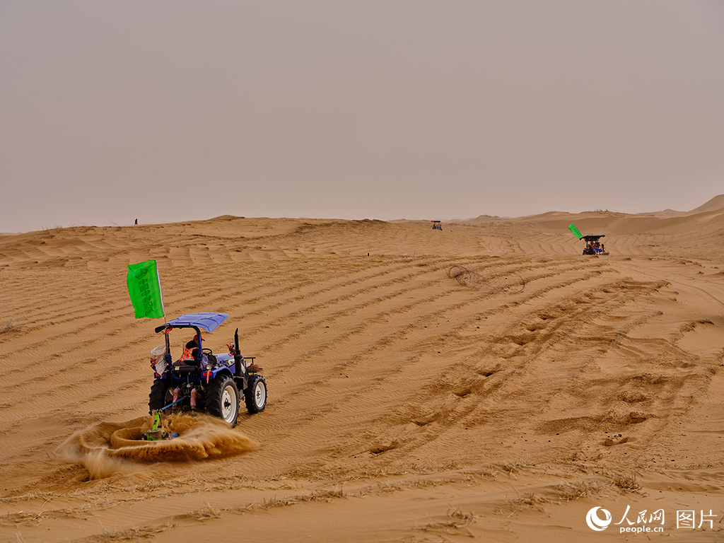 筑牢生態屏障 書寫大漠新篇【8】