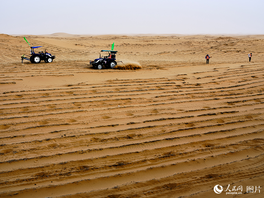 筑牢生態屏障 書寫大漠新篇【4】