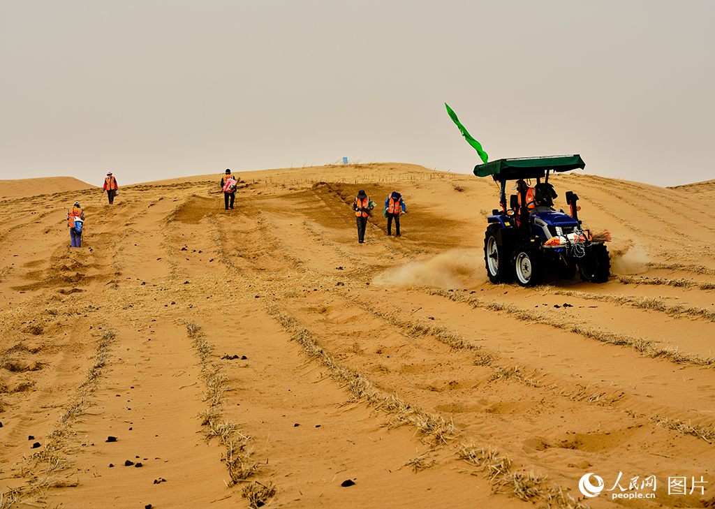 筑牢生態屏障 書寫大漠新篇【9】