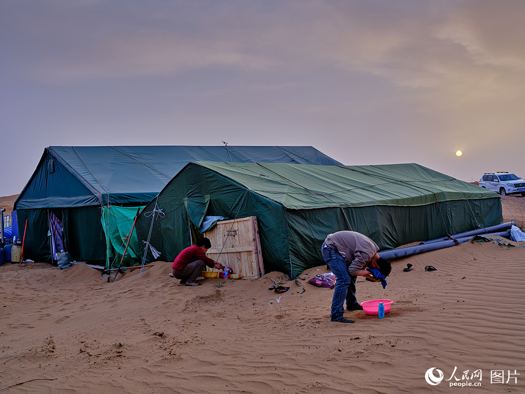 筑牢生態屏障 書寫大漠新篇【10】