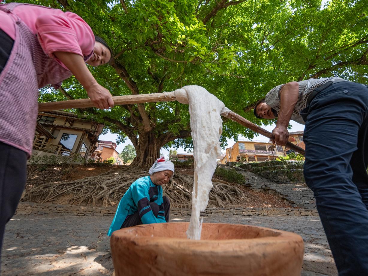 壩美景區里的村民在打糍粑。早彥銘攝