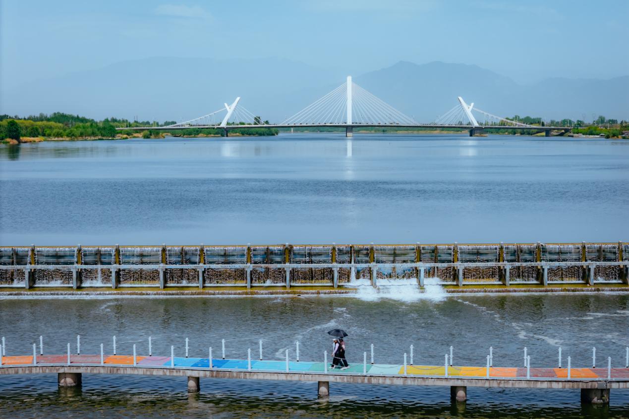 游客在漢中市天漢濕地公園游覽。邱活攝