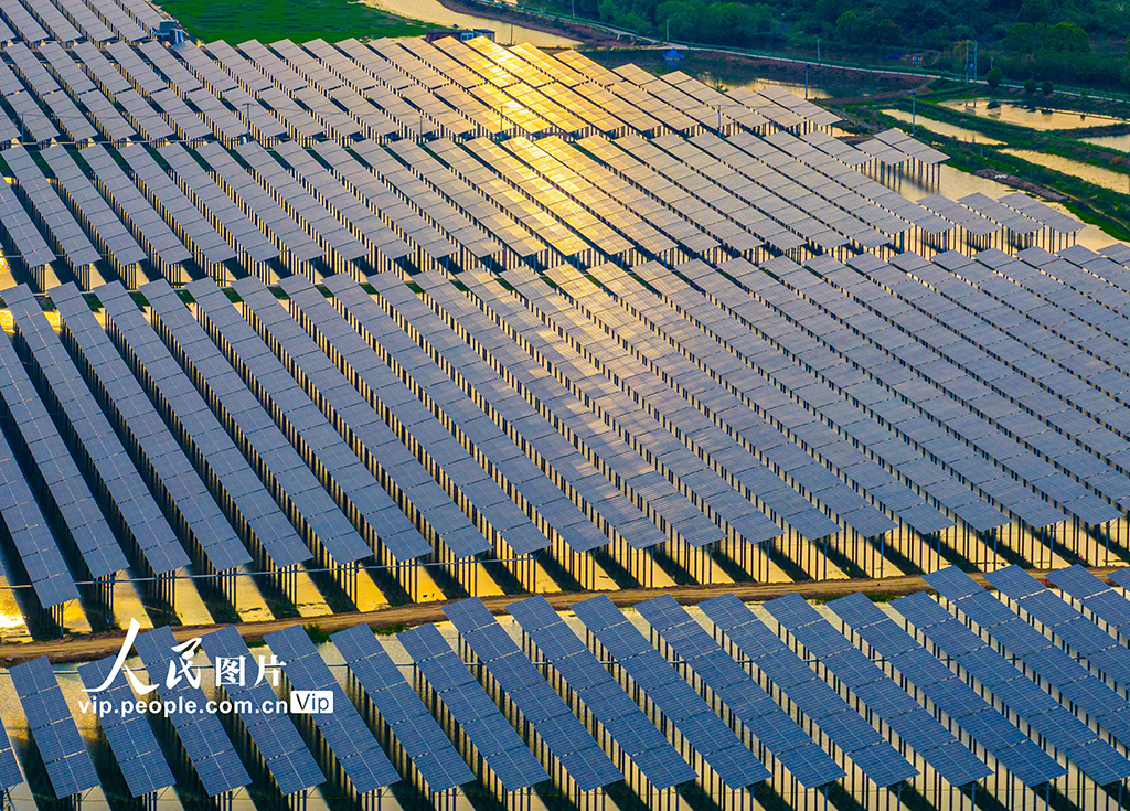 湖北黃石:漁光互補點亮“綠色經濟”【4】