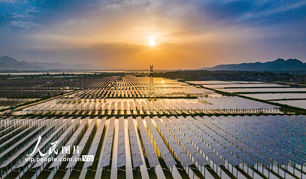 湖北黃石:漁光互補點亮“綠色經濟”【2】