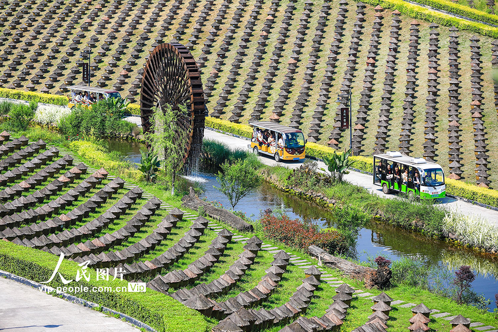四川合江:醬園飄香 春意濃郁【5】