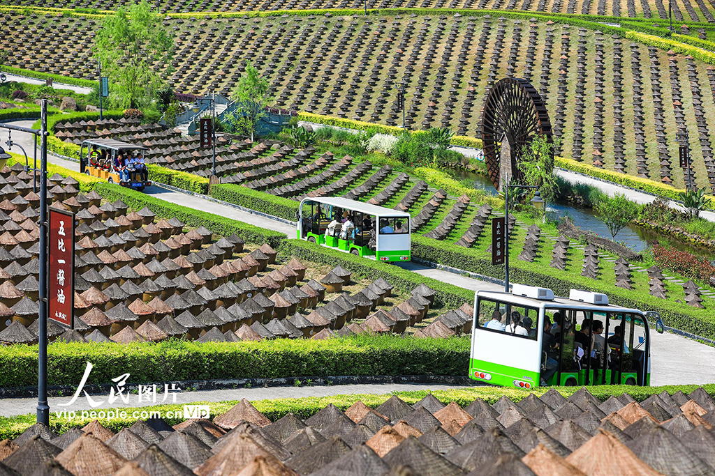 四川合江:醬園飄香 春意濃郁【4】