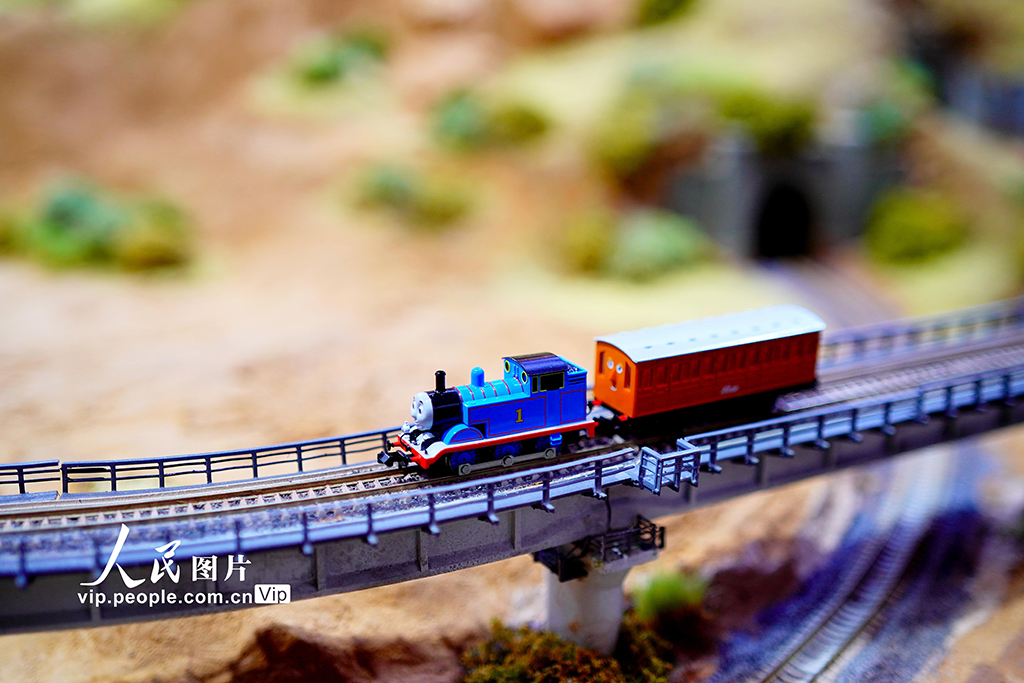 北京:第二十三屆中國國際模型博覽會開幕【8】