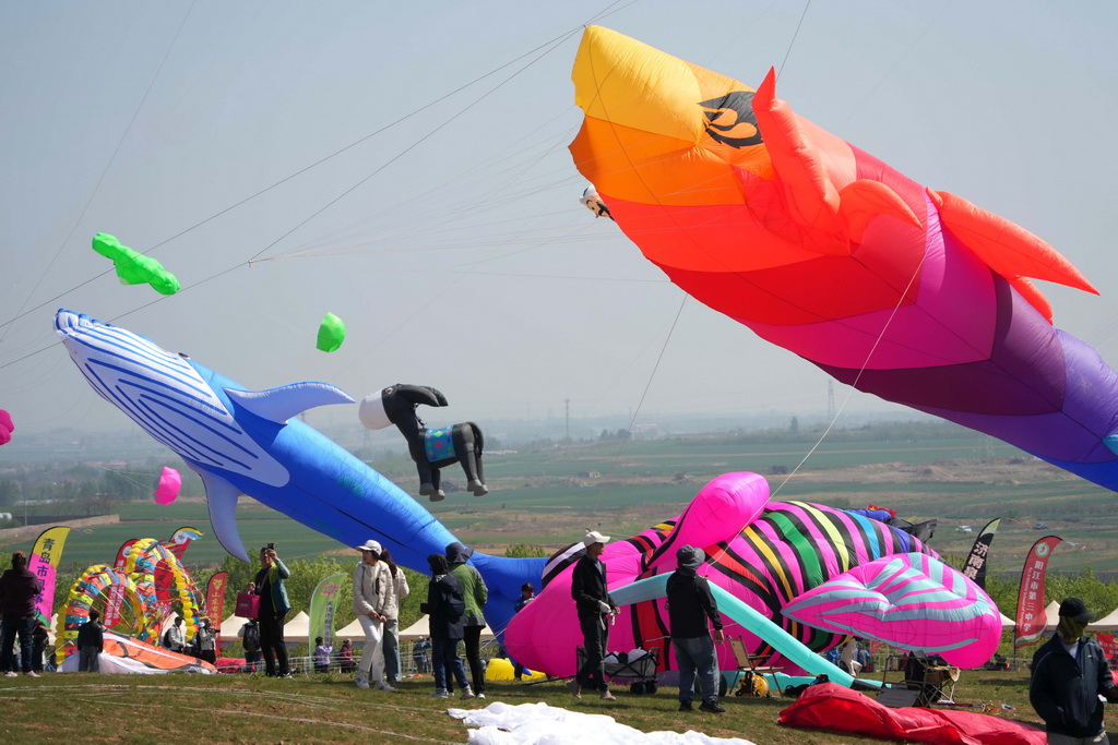 這是第42屆濰坊國際風箏會萬人風箏放飛活動上的風箏（4月19日攝）。