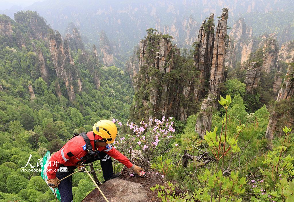 行走峭壁撿垃圾 保護生態環境【4】