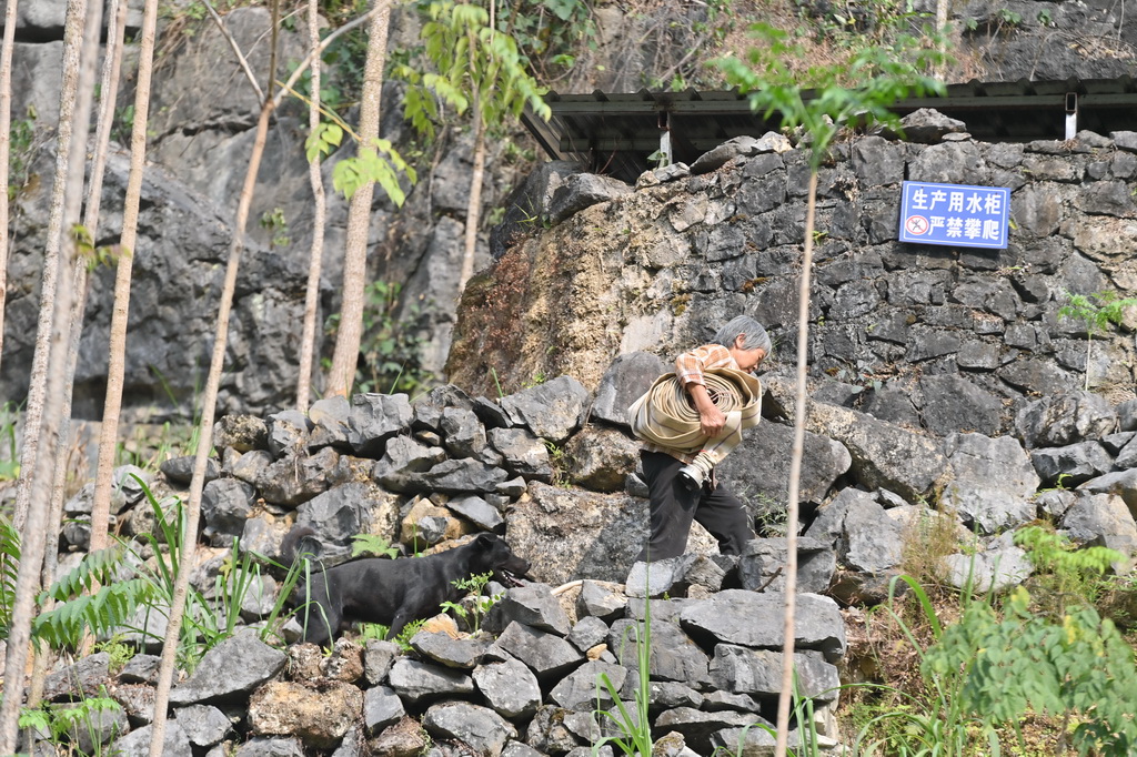 4月21日，廣西馬山縣金釵鎮龍印村村民在鋪設水管，準備將當地政府送來的水引進水柜。