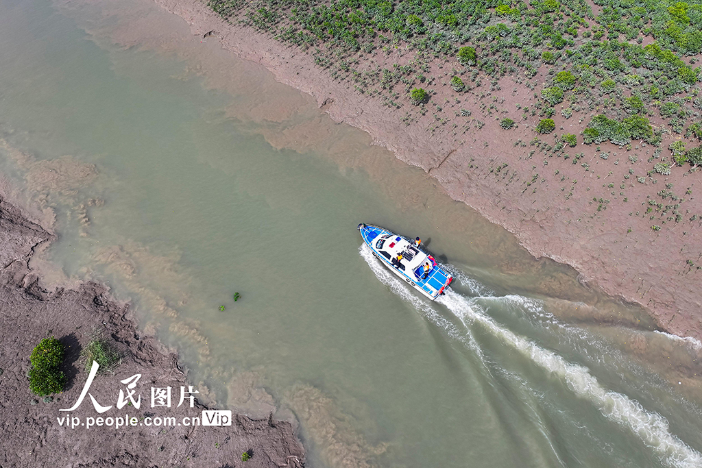 福建漳州:守護濕地生態安全【2】