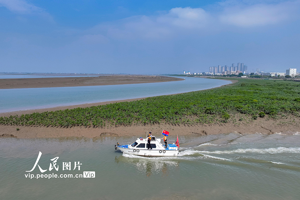 福建漳州:守護濕地生態安全【3】