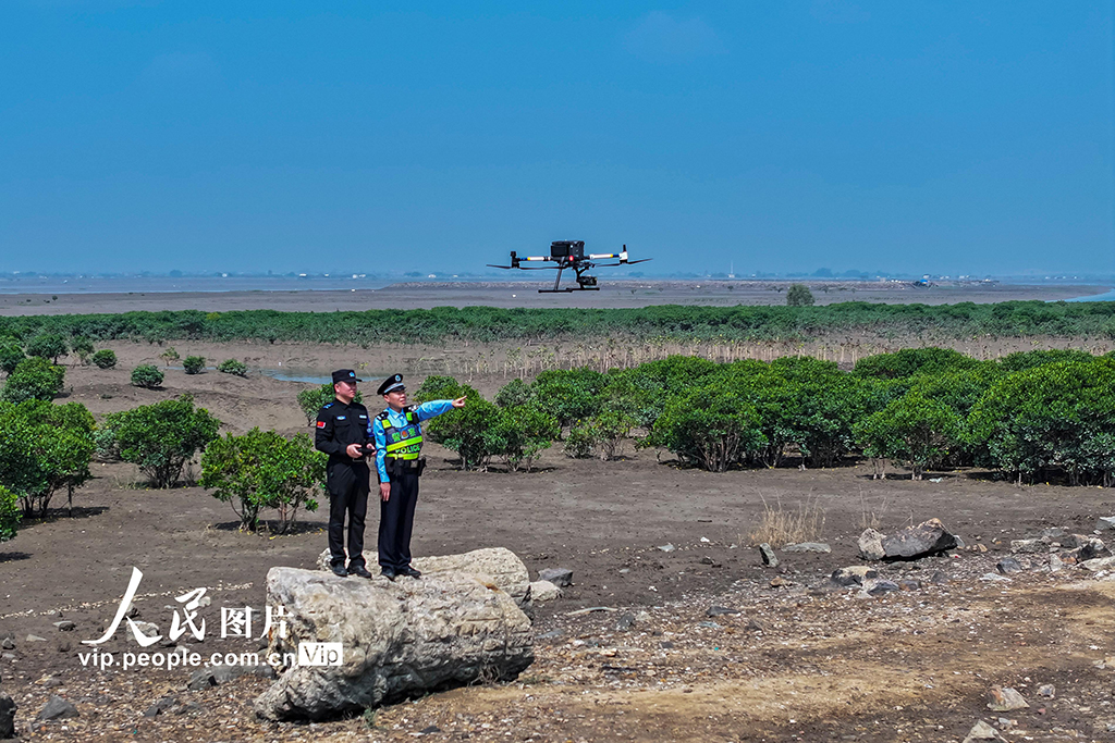 福建漳州:守護濕地生態安全【4】
