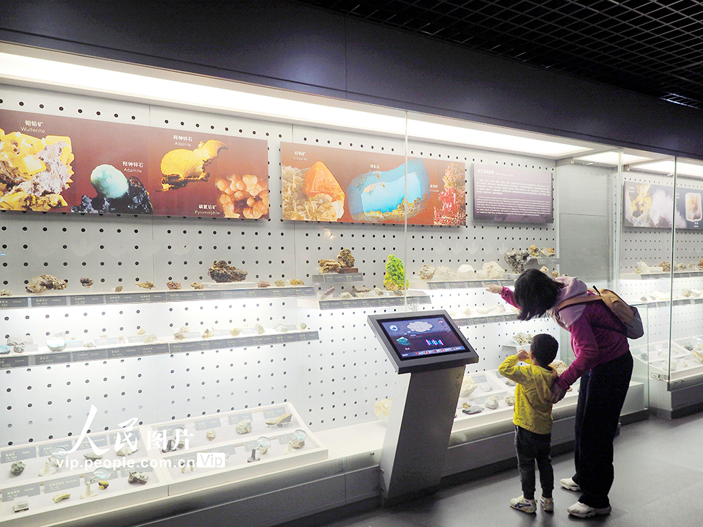 北京:中國地質博物館免費向公眾開放【6】