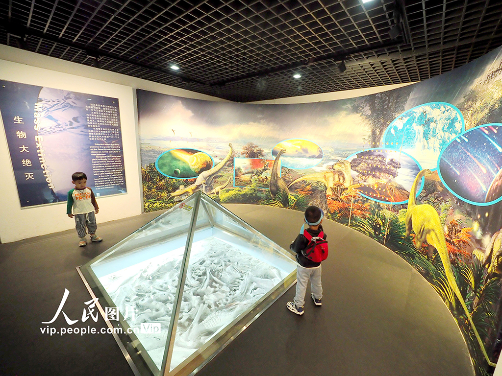 北京:中國地質博物館免費向公眾開放【7】