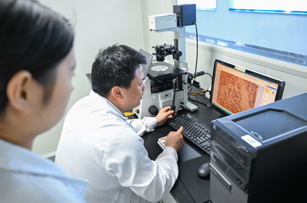 4月10日，在湖北省宜昌市三峽集團長江生物多樣性研究中心，科研人員胡亞成（右）觀察中華鱘的性腺發育狀況。