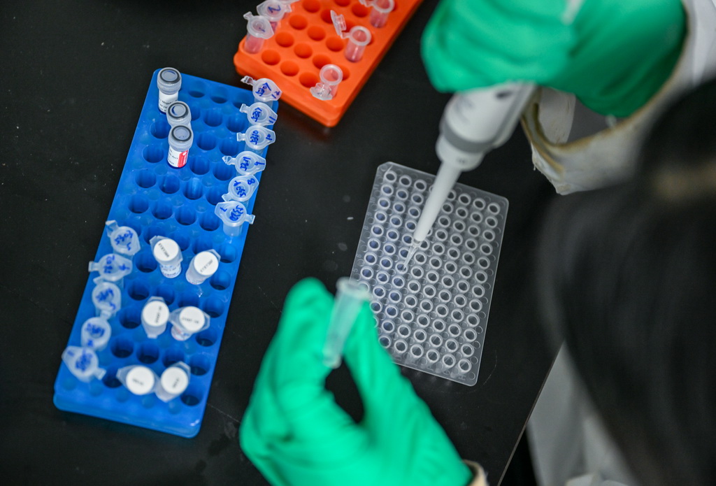 4月10日，科研人員在湖北省宜昌市三峽集團長江生物多樣性研究中心實驗室工作。