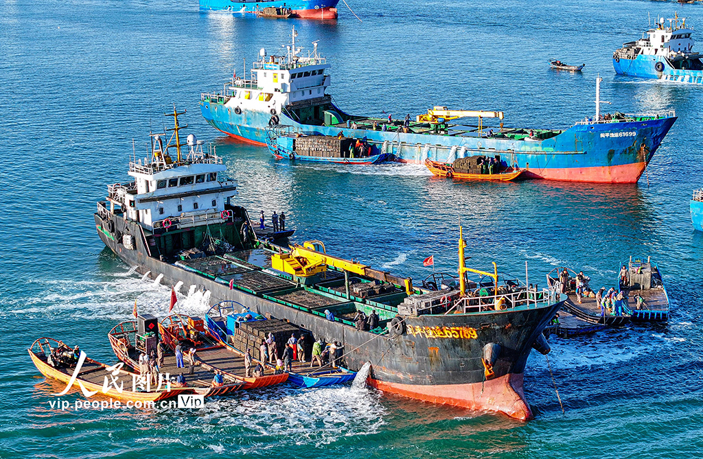 山東榮成：鮑魚“南北轉場”忙【2】