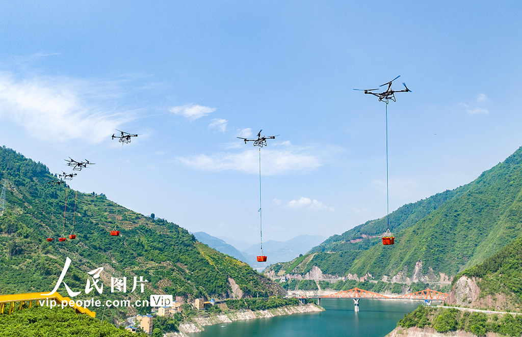 湖北秭歸:倫晚臍橙喜豐收【6】