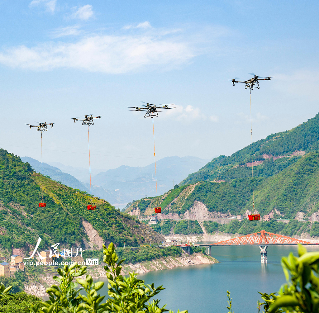 湖北秭歸:倫晚臍橙喜豐收【7】