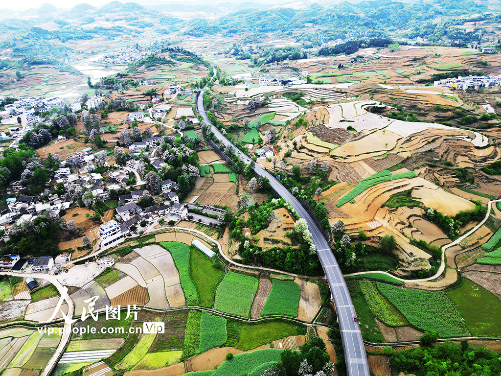 貴州黔西:山花開處鄉村美【2】