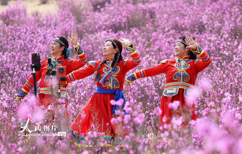 內蒙古扎蘭屯:賞花游 新活力【4】