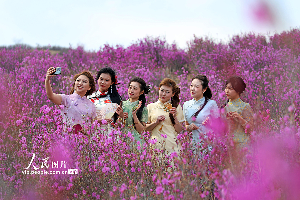 內蒙古扎蘭屯:賞花游 新活力【3】